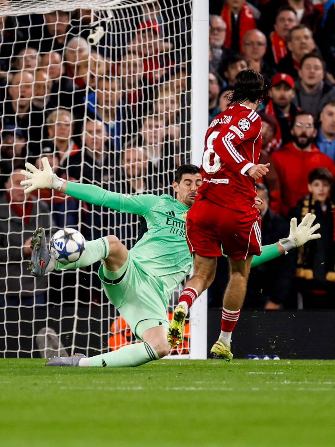 荷兰队创最差战绩，排协公告球队降级转战二级赛事争积分